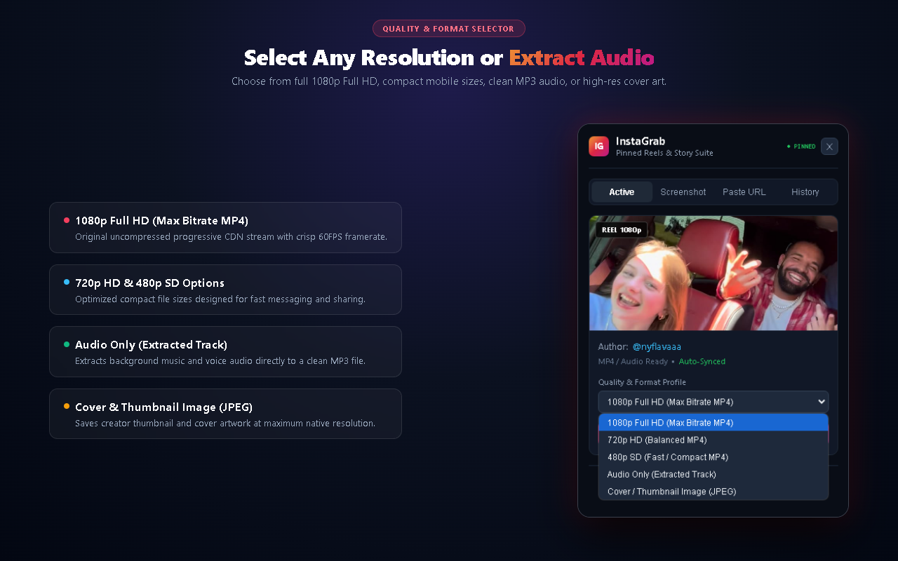 Step 3: Direct In-Page Reel and Story Download Button